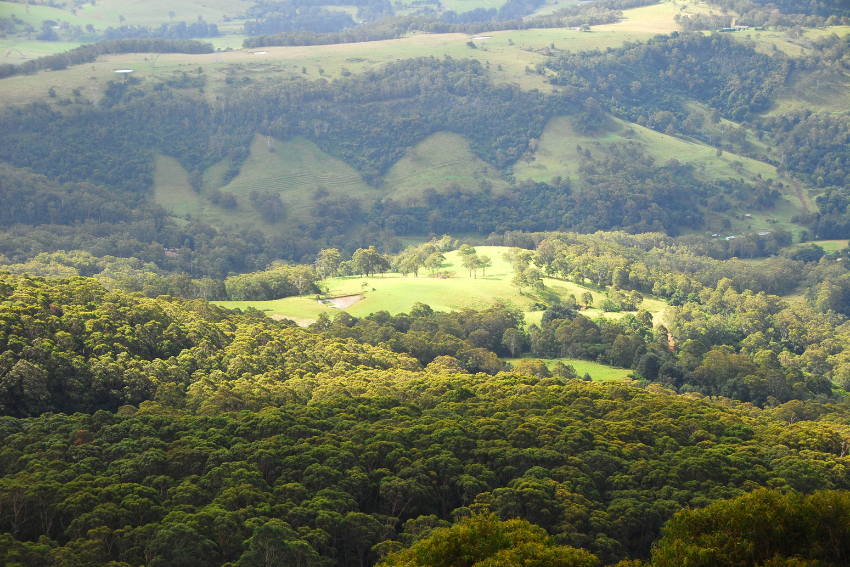 The Ultimate Guide to Buying Property in the Southern Highlands